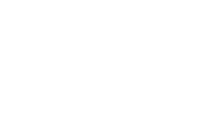 blackbird v2