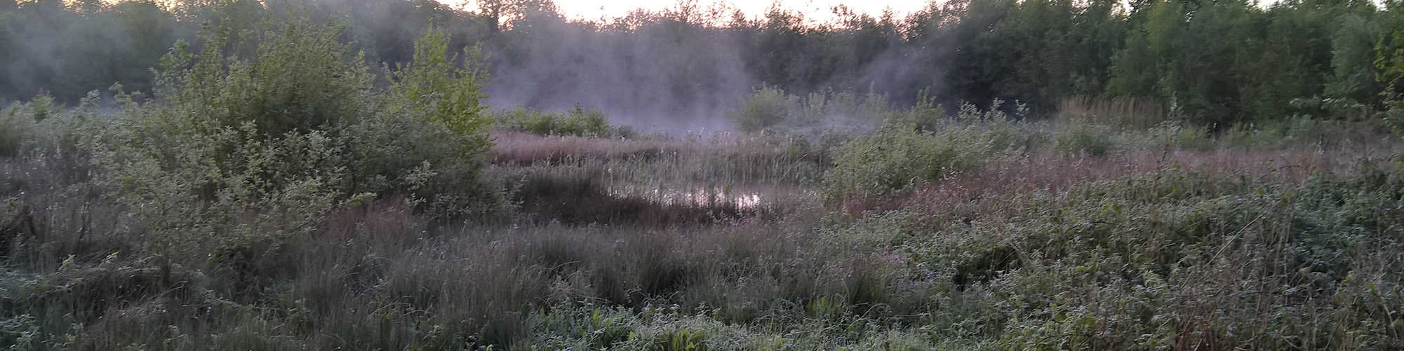 Fosse Meadows LROS header