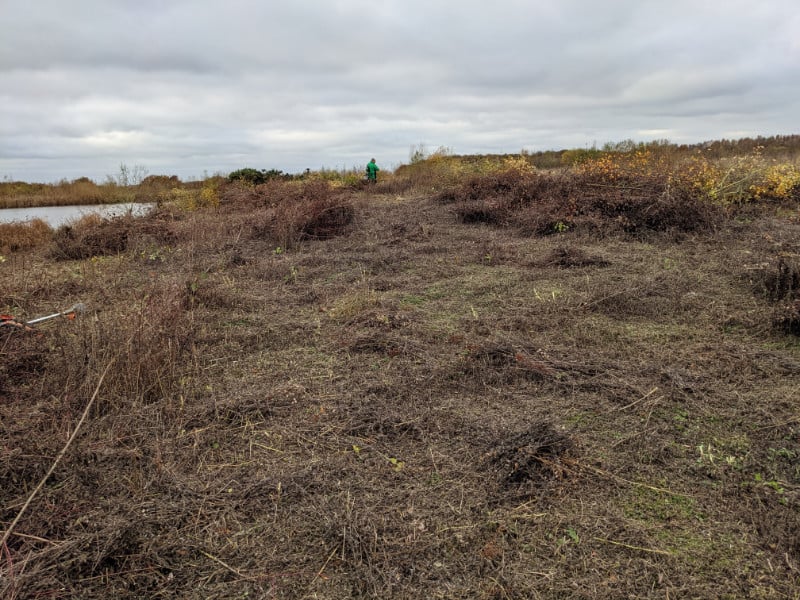 Hicks Lodge Island clearance