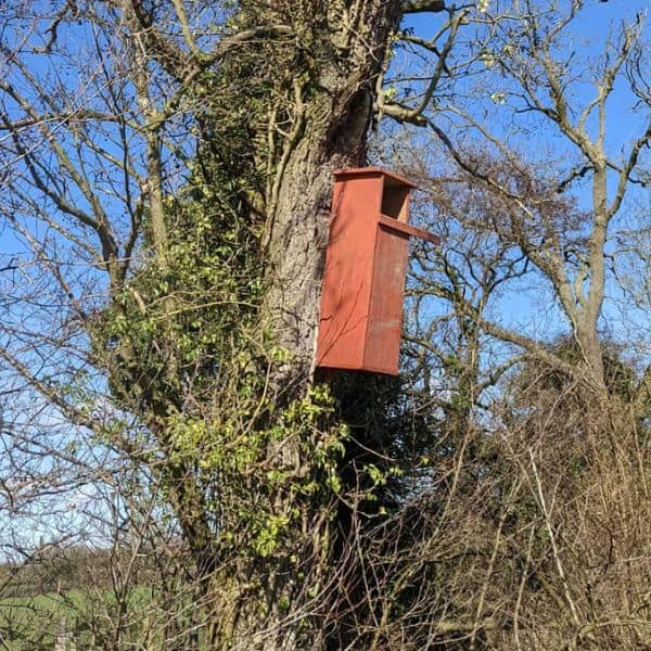 Conservation Tasks: Owl Boxes Erected at Church Farm